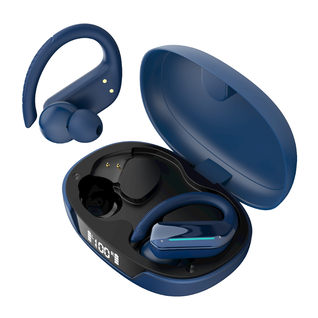 Earbuds TS21