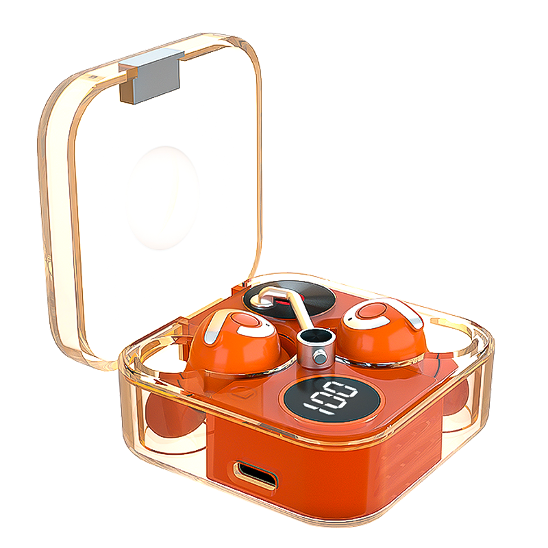 Earbuds TS20